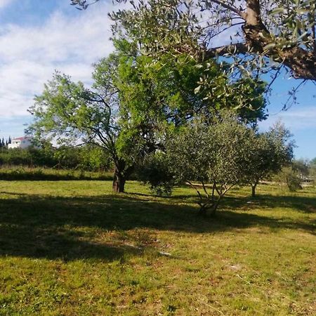 S&M Camping Sveti Filip i Jakov Εξωτερικό φωτογραφία