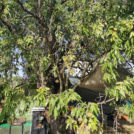 S&M Camping Sveti Filip i Jakov Εξωτερικό φωτογραφία