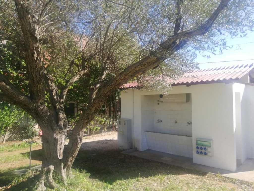 S&M Camping Sveti Filip i Jakov Εξωτερικό φωτογραφία
