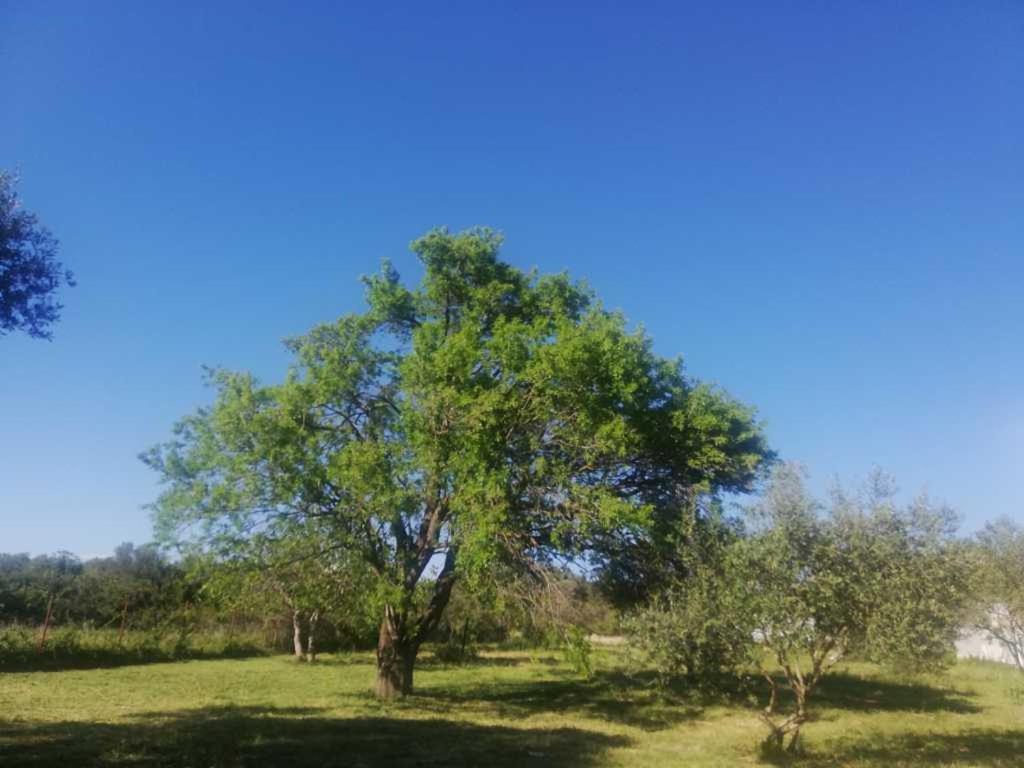 S&M Camping Sveti Filip i Jakov Εξωτερικό φωτογραφία