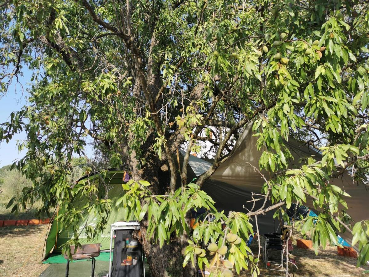 S&M Camping Sveti Filip i Jakov Εξωτερικό φωτογραφία